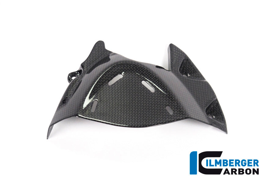 Ilmberger Carbon Front Sprocket Cover for the Ducati Monster 1200S '17