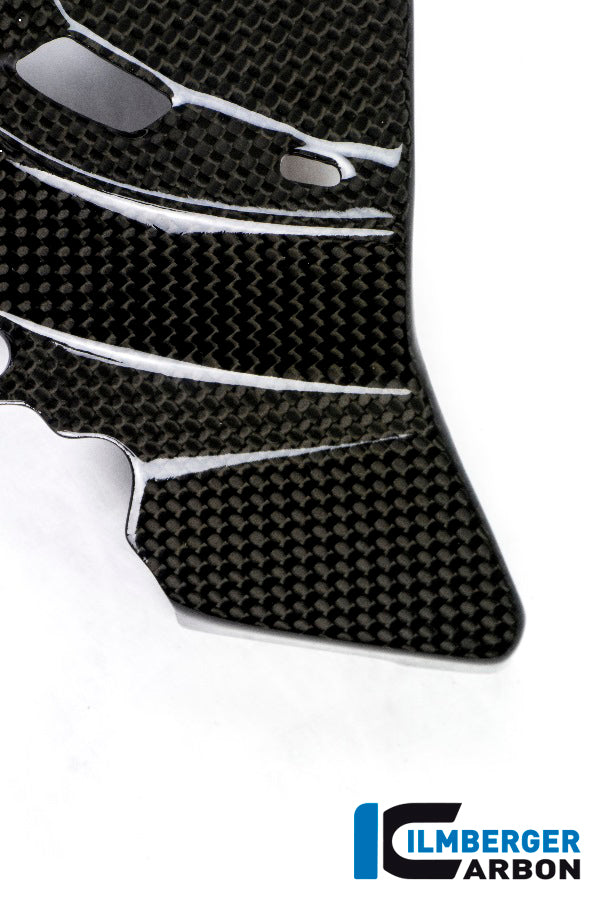 Ilmberger Carbon Front Sprocket Cover M for the Ducati Monster 1200 / 1200 S/R '14-16