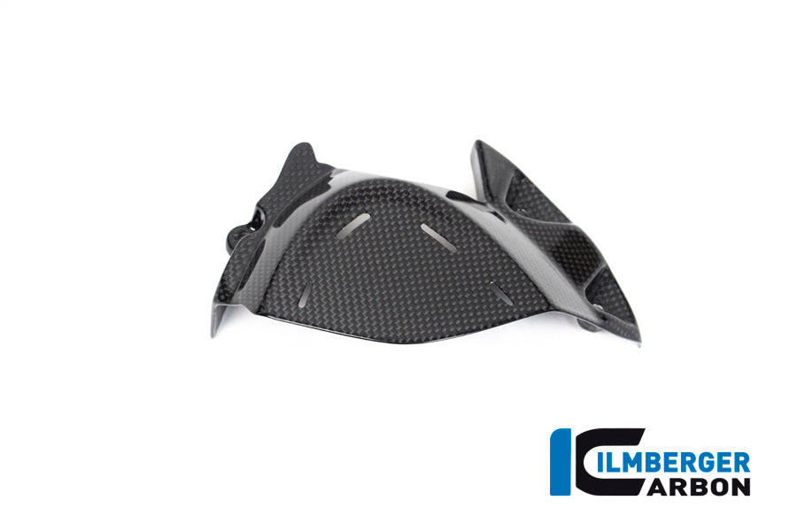 Ilmberger Carbon Sprocket Cover Surface for the Ducati Scrambler 1100 '17