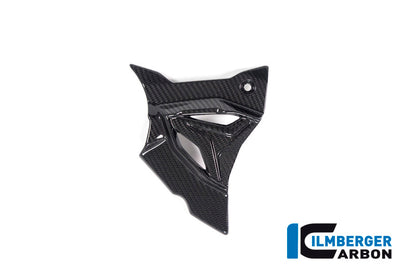 Ilmberger Carbon Front SPRocket Cover for the BMW S 1000 R '21 / S 1000 RR '19-23 / M1000R '23-24 / M1000RR '21-24
