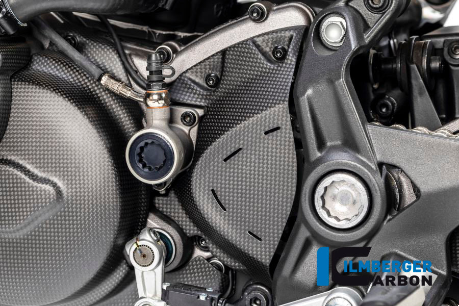 Ilmberger Carbon Front Sprocket Cover for the Ducati Monster 1200S '17