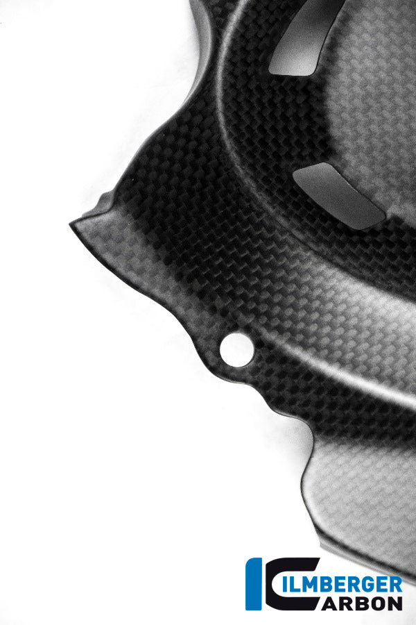 Ilmberger Carbon Front Sprocket Cover M for the Ducati Monster 1200 / 1200 S/R '14-16