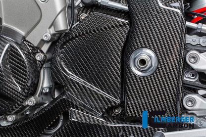 Ilmberger Carbon Front SPRocket Cover, Carbon for the BMW S 1000 R '14-24 / S 1000 RR '15-18
