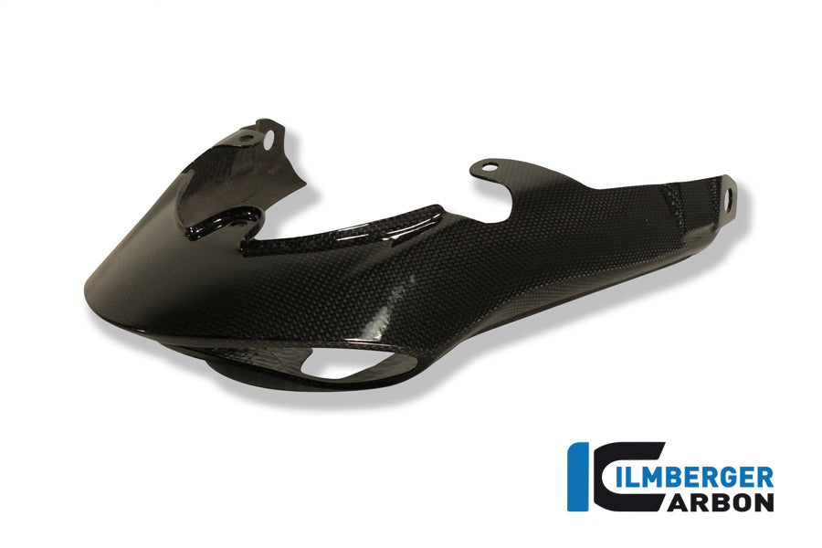 Ilmberger Carbon Rear Light Cover for the Triumph Speed Triple '11-25