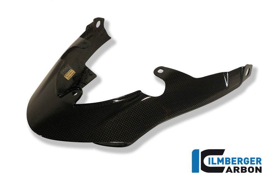 Ilmberger Carbon Rear Light Cover for the Triumph Speed Triple '11-25