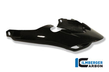 Ilmberger Carbon Rear Light Cover for the Triumph Speed Triple '11-25
