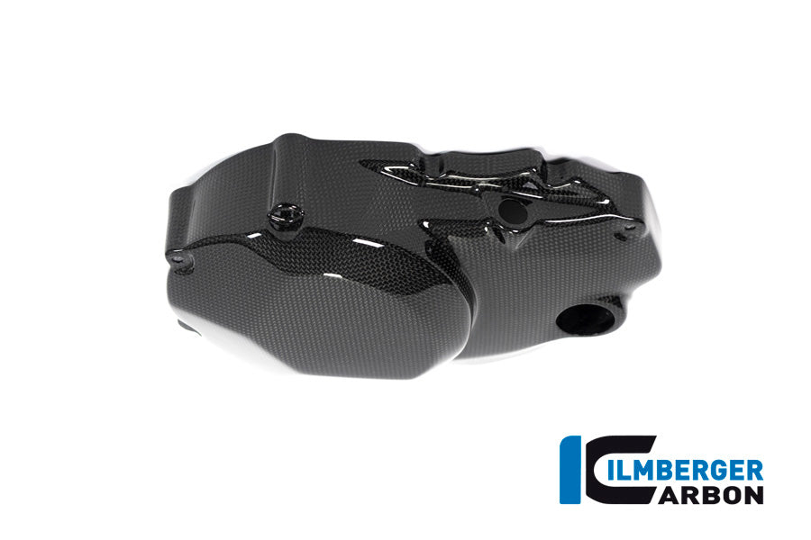 Ilmberger Carbon Engine Guard, Right Side for the Ducati Monster 1200S '17