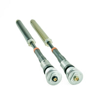 K-Tech Suspension 25SSK IDS Fork Cartridges for the Aprilia 2021 Aprilia RS 660