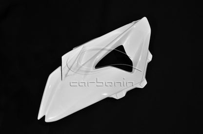 CARBONIN AVIO FIBER RACE BODYWORK FOR BMW S1000RR (2015-18)