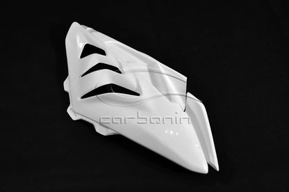 CARBONIN AVIO FIBER RACE BODYWORK FOR BMW S1000RR (2010-2014)