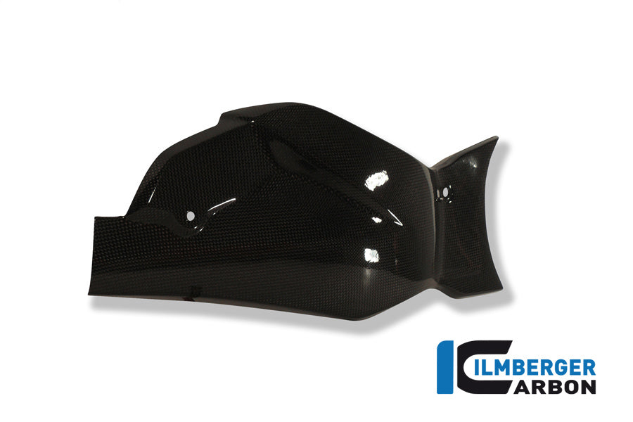 Ilmberger Carbon Swingarm Cover / Chain Guard for the Honda CB 1000 R '08