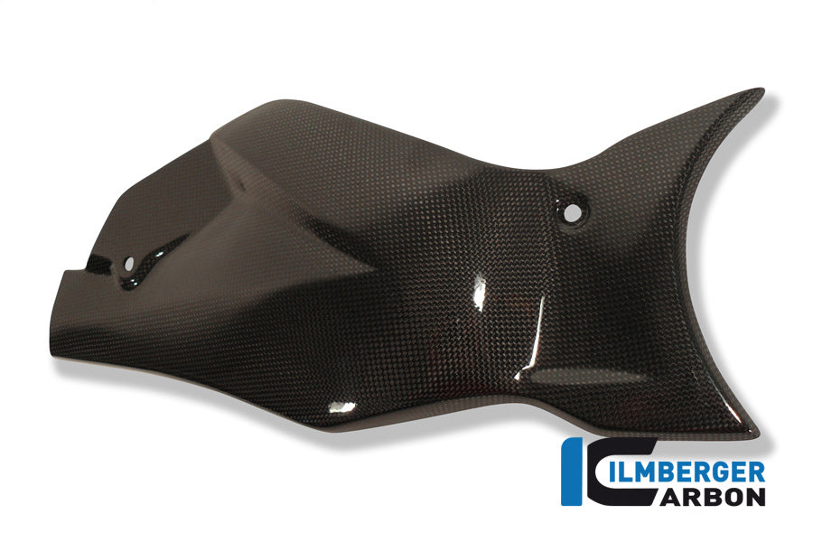 Ilmberger Carbon Swingarm Cover / Chain Guard for the Honda CB 1000 R '08