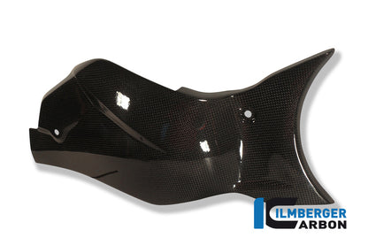 Ilmberger Carbon Swingarm Cover / Chain Guard for the Honda CB 1000 R '08