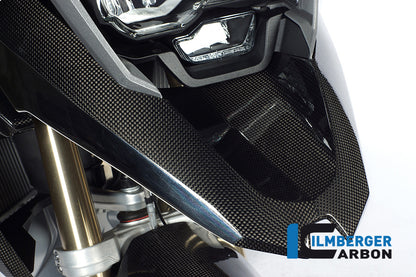 Ilmberger Carbon Front Beak Upper Mudguard for the BMW R 1200 GS 2013-2016
