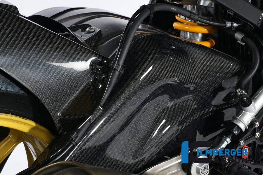 Ilmberger Carbon Swing Arm Covers (Set - Left & Right), Carbon for the BMW S 1000 RR Stocksport / Racing 2009-2025