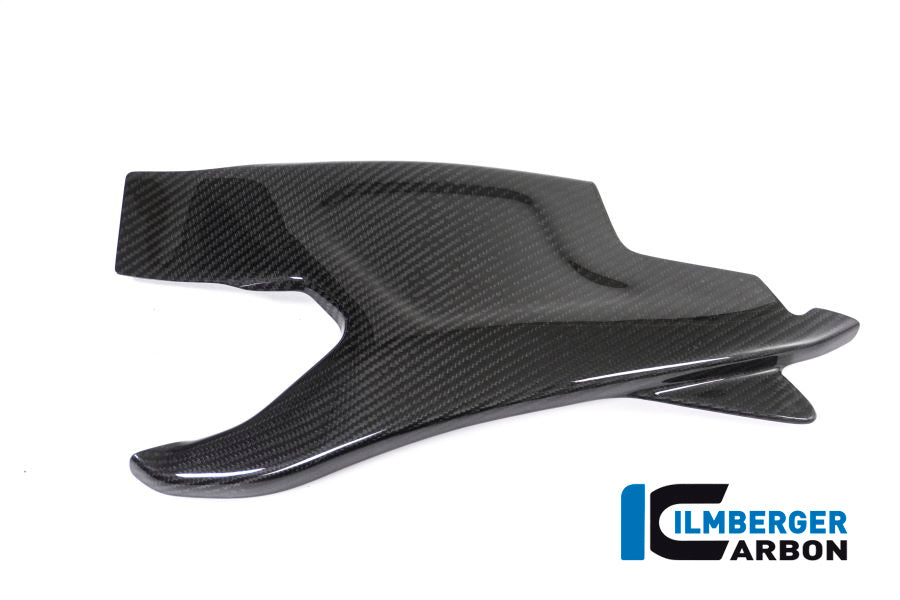 Ilmberger Carbon Swing Arm Cover, Left Side for the BMW HP4 Race 'All years