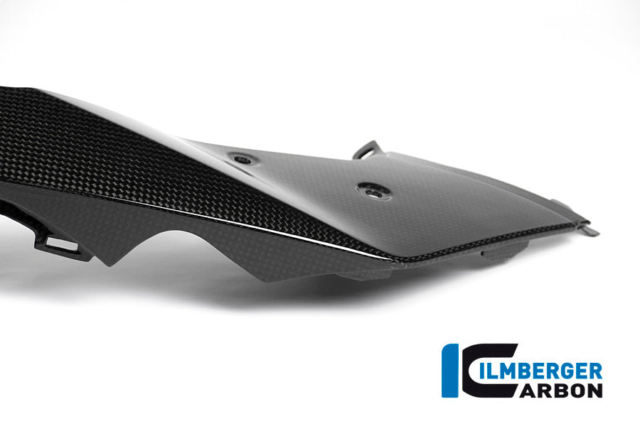 Ilmberger Carbon Front Beak / Upper Mudguard, Left Side for the BMW R 1200 GS Adventure 2014