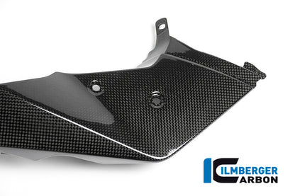 Ilmberger Carbon Front Beak / Upper Mudguard, Left Side for the BMW R 1200 GS Adventure 2014