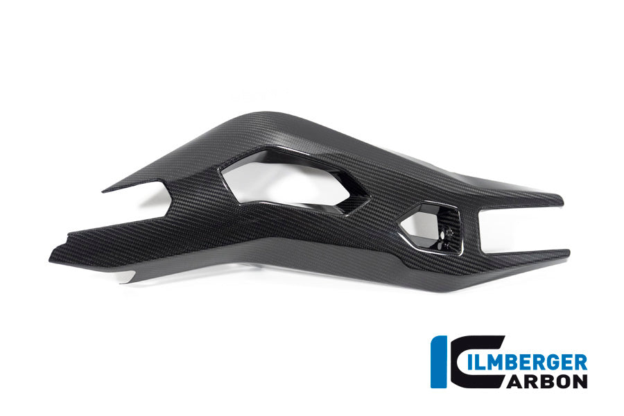 Ilmberger Carbon Swing Arm Cover Left Side for the BMW S 1000 XR '20-24 / M 1000 XR '24