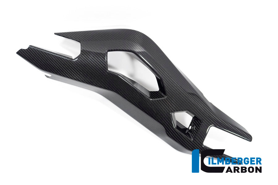 Ilmberger Carbon Swing Arm Cover Left Side for the BMW S 1000 XR '20-24 / M 1000 XR '24