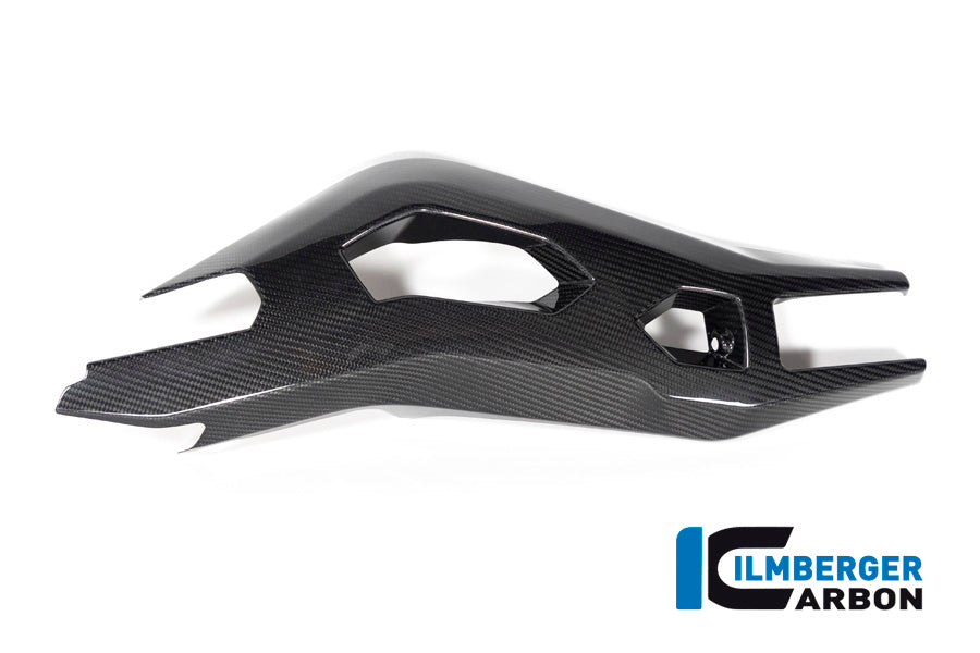Ilmberger Carbon Swing Arm Cover Left Side for the BMW S 1000 XR '20-24 / M 1000 XR '24