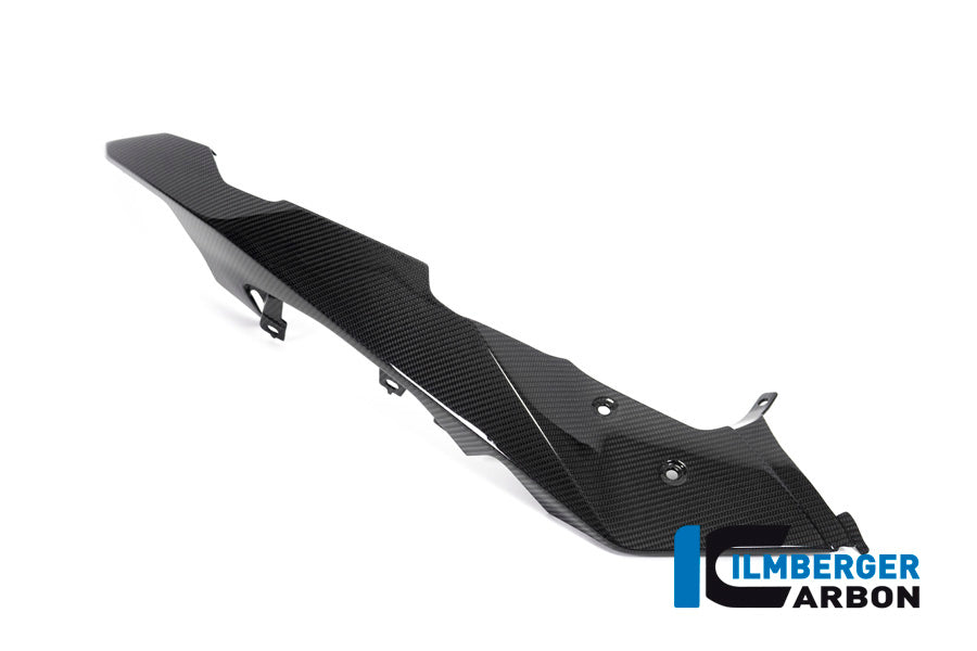 Ilmberger Carbon Front Beak / Upper Mudguard, Left Side for the BMW R 1250 GS Adventure 2019