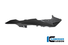 Ilmberger Carbon Front Beak / Upper Mudguard, Left Side for the BMW R 1250 GS Adventure 2019
