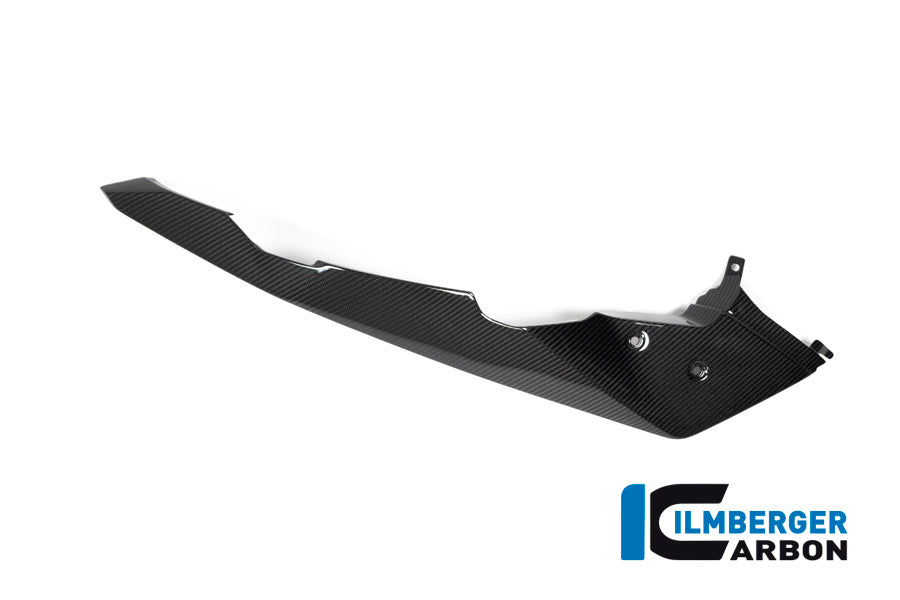 Ilmberger Carbon Front Beak / Upper Mudguard, Left Side for the BMW R 1250 GS Adventure 2019