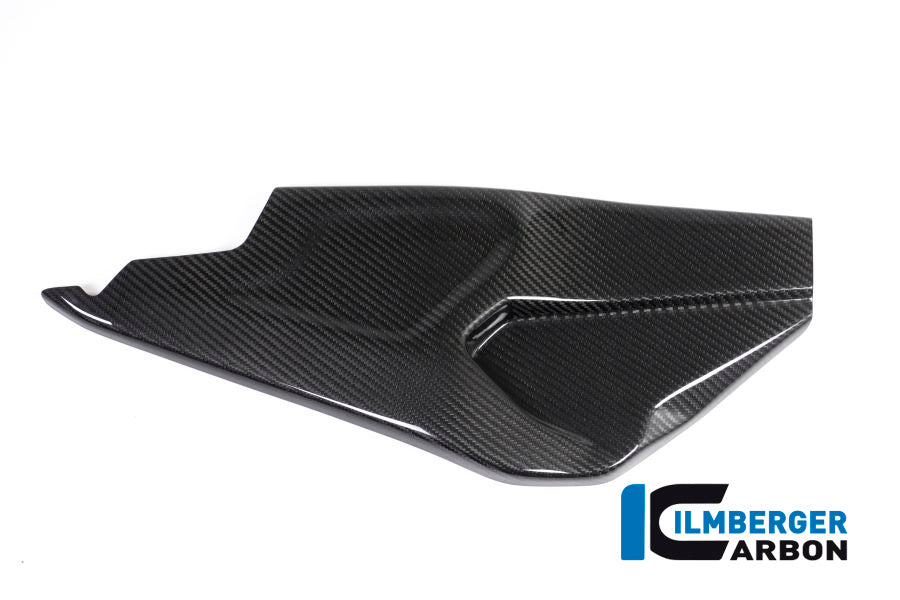 Ilmberger Carbon Swing Arm Cover, Right Side for the BMW HP4 Race 'All years