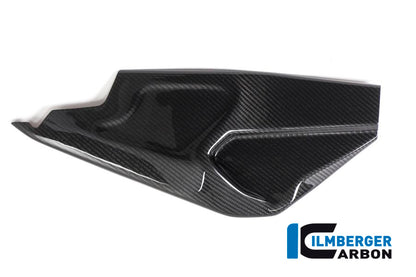 Ilmberger Carbon Swing Arm Cover, Right Side for the BMW HP4 Race 'All years