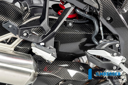 Ilmberger Carbon Swing Arm Cover Right Side for the BMW S 1000 XR '20-24 / M 1000 XR '24