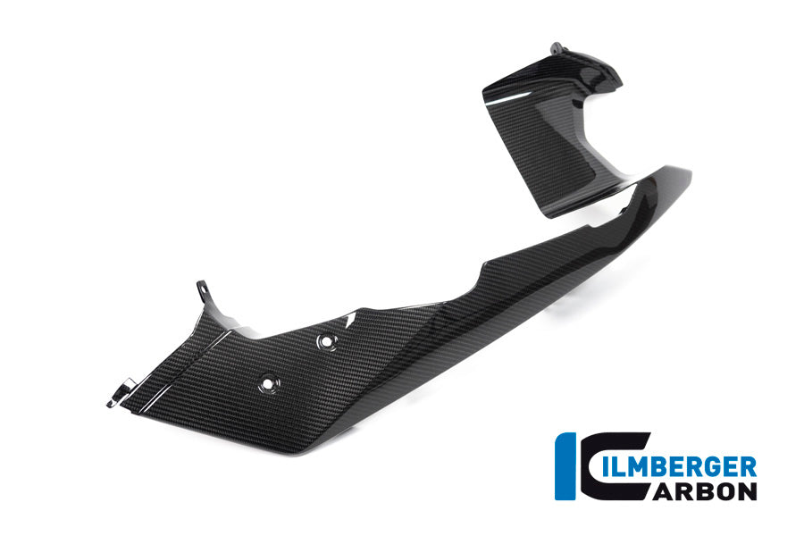 Ilmberger Carbon Front Beak / Upper Mudguard, Right Side for the BMW R 1250 GS Adventure 2019