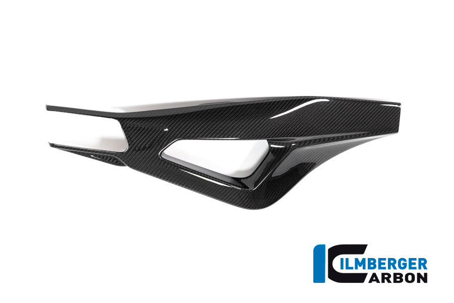 Ilmberger Carbon Swing Arm Cover, Right for the BMW S 1000 R '21 / S 1000 RR '19-23 / M1000R '23-24 / M1000RR '21-24