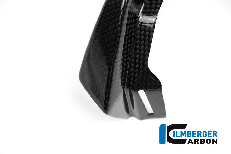 Ilmberger Carbon Front Beak Middle Part, Front for the BMW R 1200 GS Adventure 2014