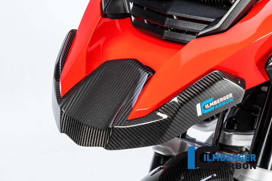 Ilmberger Carbon Front Beak, Front Extension for the BMW R 1250 GS Adventure 2019