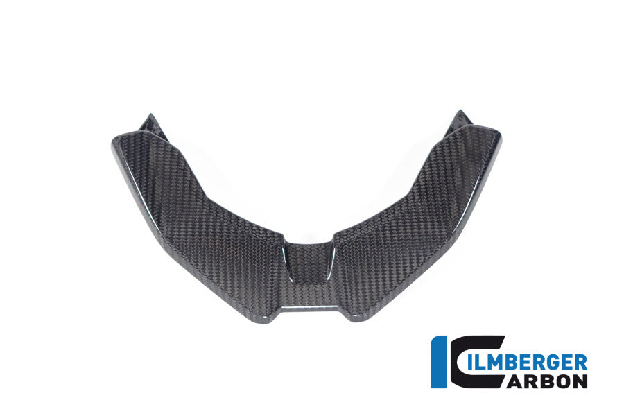 Ilmberger Carbon Front Beak for the BMW S 1000 XR / M 1000 XR 2024