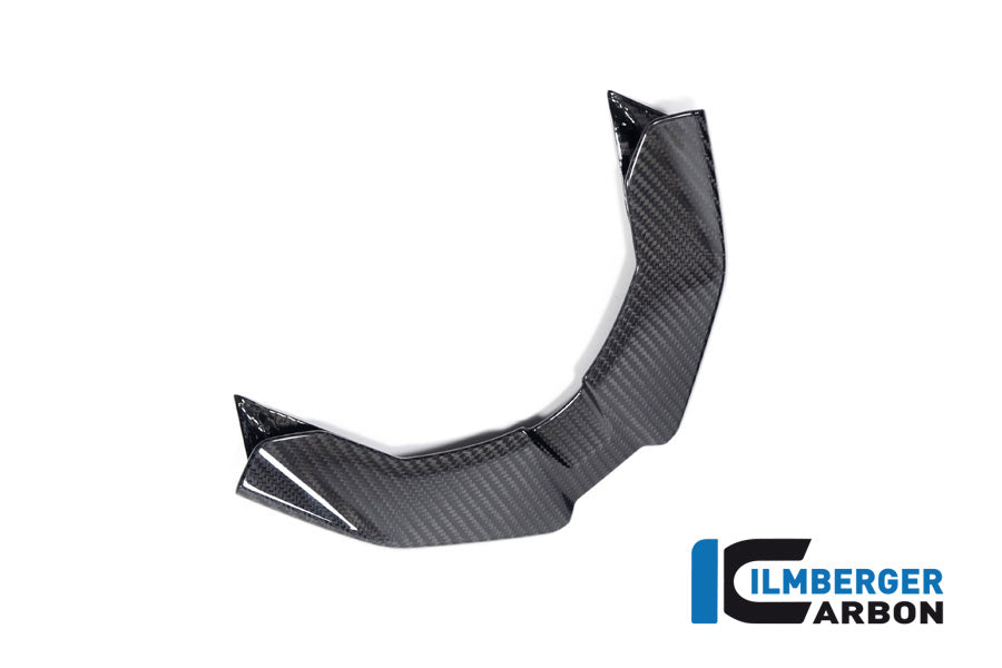Ilmberger Carbon Front Beak for the BMW S 1000 XR / M 1000 XR 2024