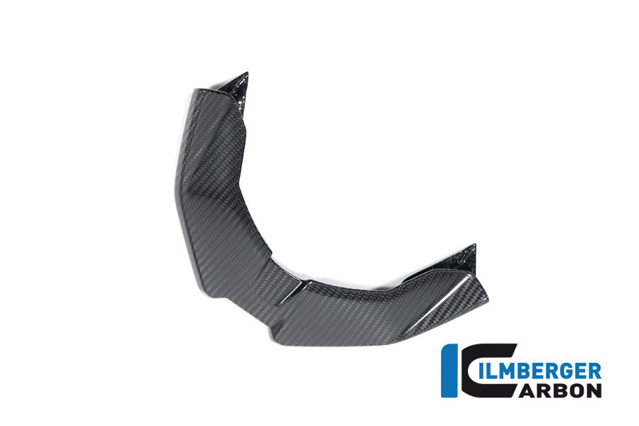 Ilmberger Carbon Front Beak for the BMW S 1000 XR / M 1000 XR 2024