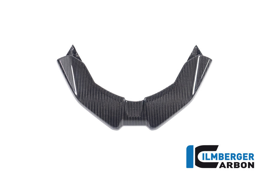 Ilmberger Carbon Front Beak for the BMW S 1000 XR / M 1000 XR 2024