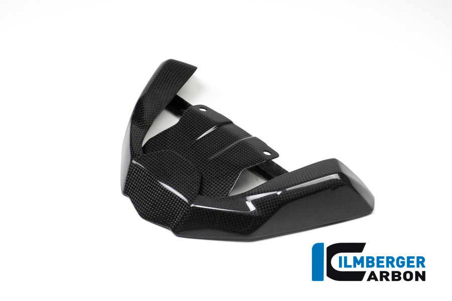 Ilmberger Carbon Front Beak Extension for the BMW R 1200 GS 2017