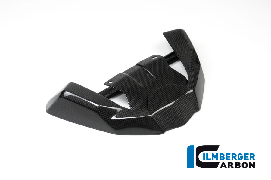 Ilmberger Carbon Front Beak Extension for the BMW R 1200 GS 2017