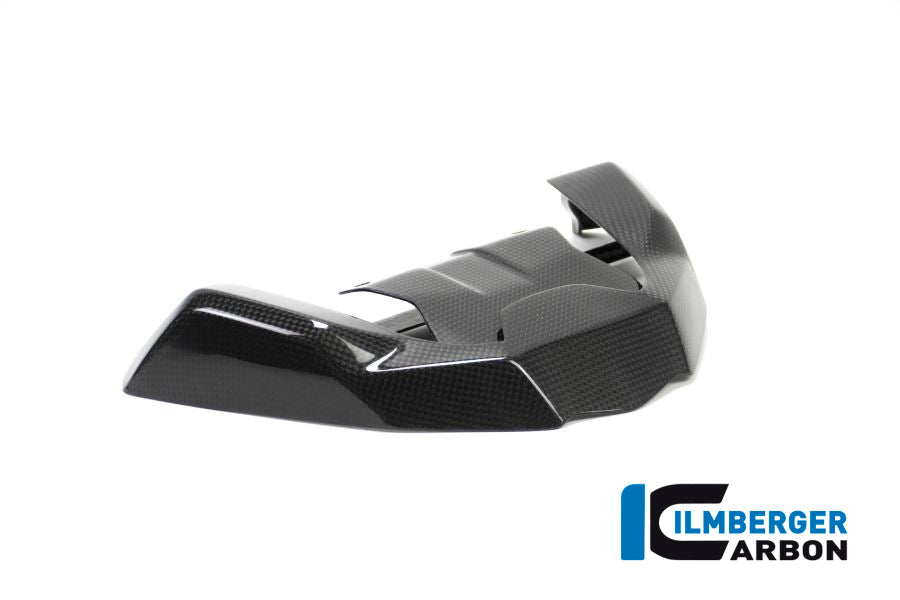 Ilmberger Carbon Front Beak Extension for the BMW R 1200 GS 2017