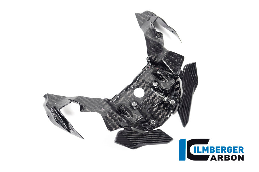 Ilmberger Carbon Front Beak Extension for the BMW S 1000 XR 2020-2023