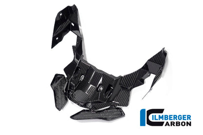 Ilmberger Carbon Front Beak Extension for the BMW S 1000 XR 2020-2023
