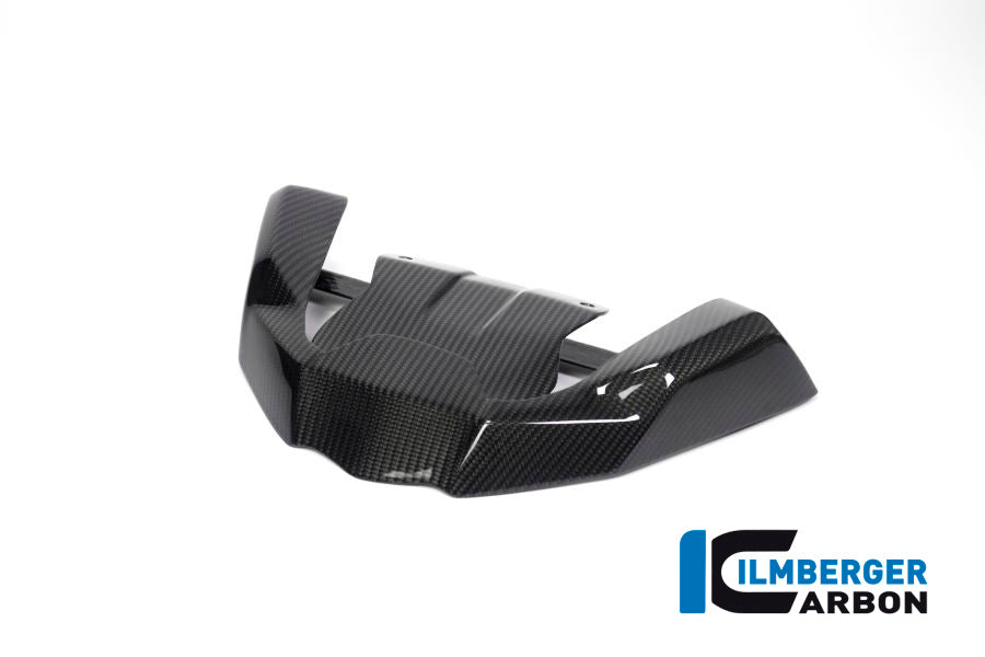 Ilmberger Carbon Front Beak Front Extension for the BMW R 1250 GS 2019