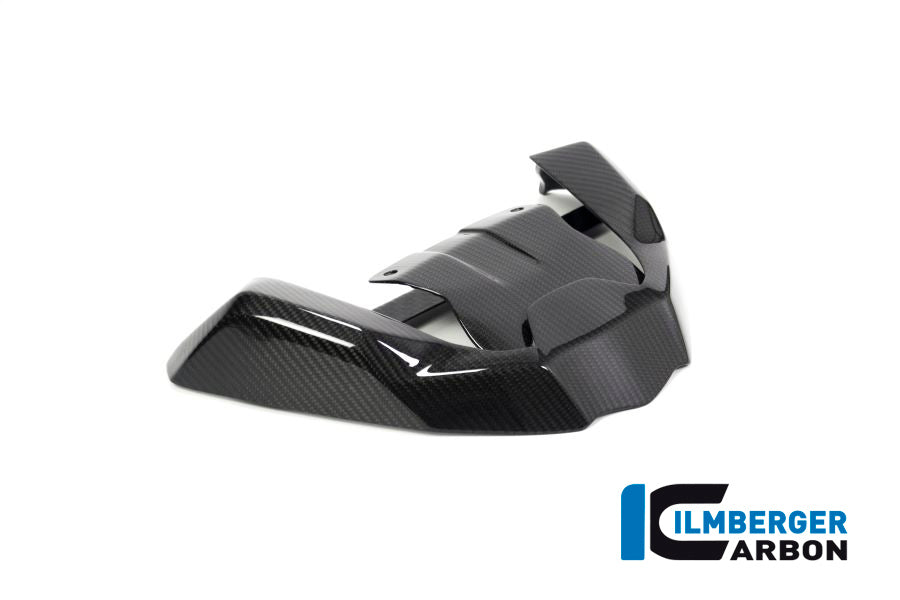 Ilmberger Carbon Front Beak Front Extension for the BMW R 1250 GS 2019