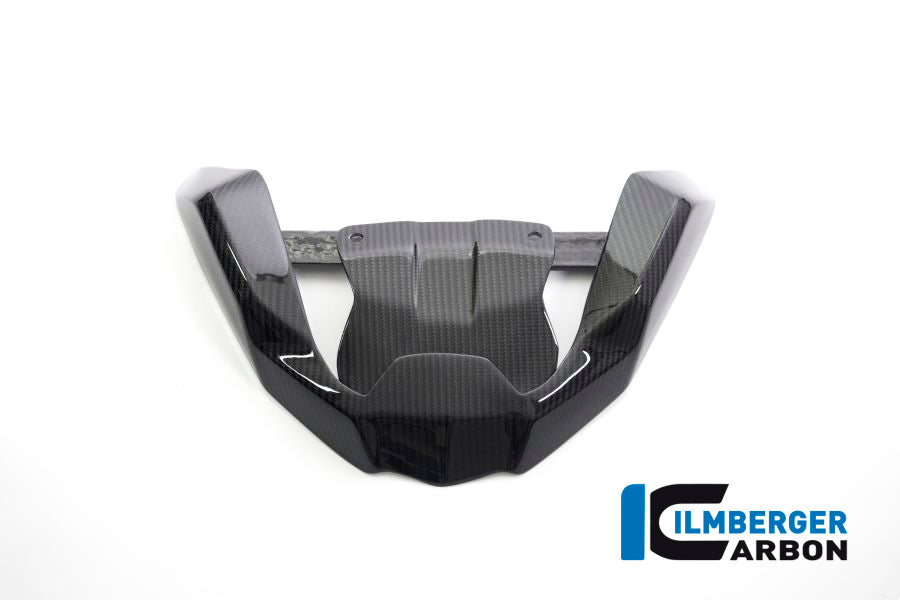 Ilmberger Carbon Front Beak Front Extension for the BMW R 1250 GS 2019