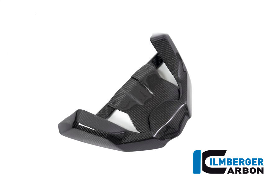 Ilmberger Carbon Front Beak Front Extension for the BMW R 1250 GS 2019