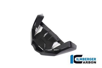 Ilmberger Carbon Front Beak Front Extension for the BMW R 1250 GS 2019