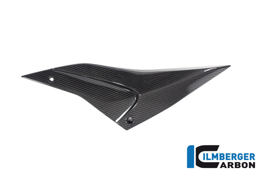 Ilmberger Carbon Sidepanel, Left Side for the Aprilia Tuono / RSV4 2021